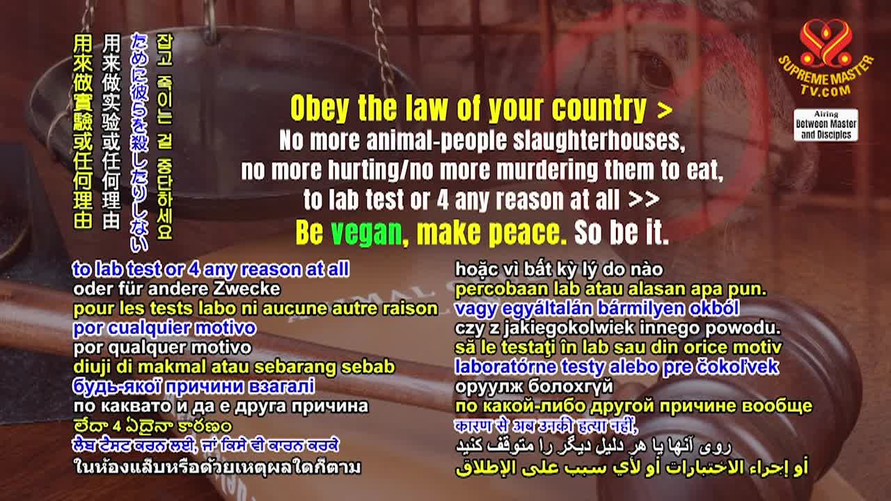 Thumbnail image for Supreme Master TV - Love Is All Inclusive - Part 4