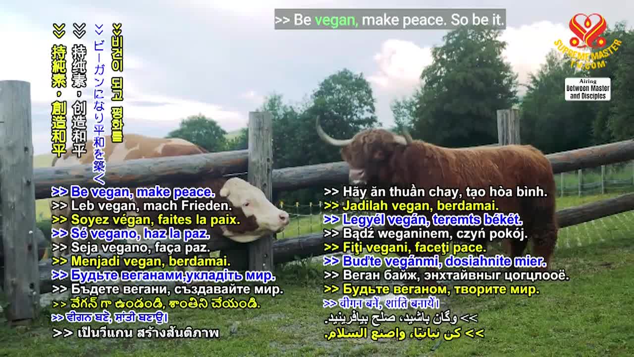 Thumbnail image for Supreme Master TV - Love Is All Inclusive - Part 1