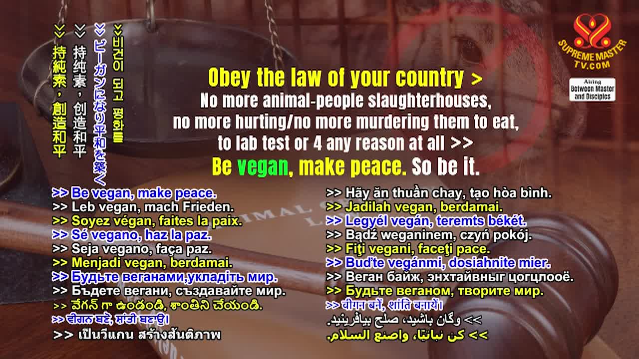 Thumbnail image for Supreme Master TV - Love Is All Inclusive - Part 3