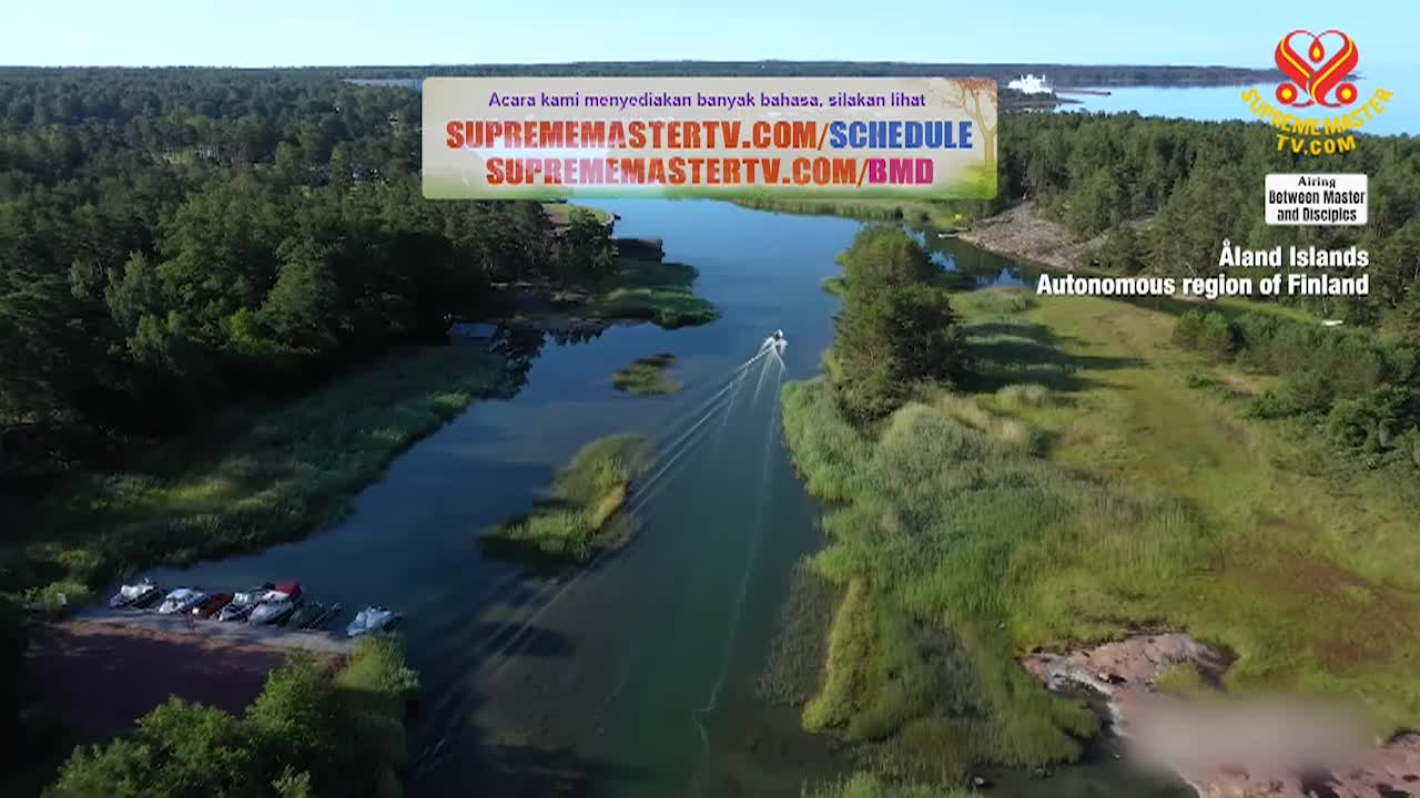 Thumbnail image for Supreme Master TV - The Power of Independence Part 2