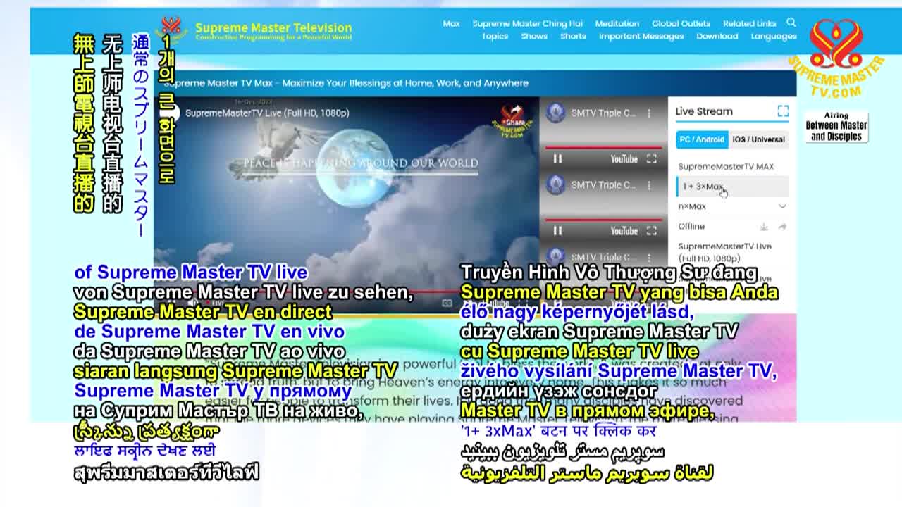 Thumbnail image for Supreme Master TV - The Three Steps to Follow for the Peace Deal, Part 1