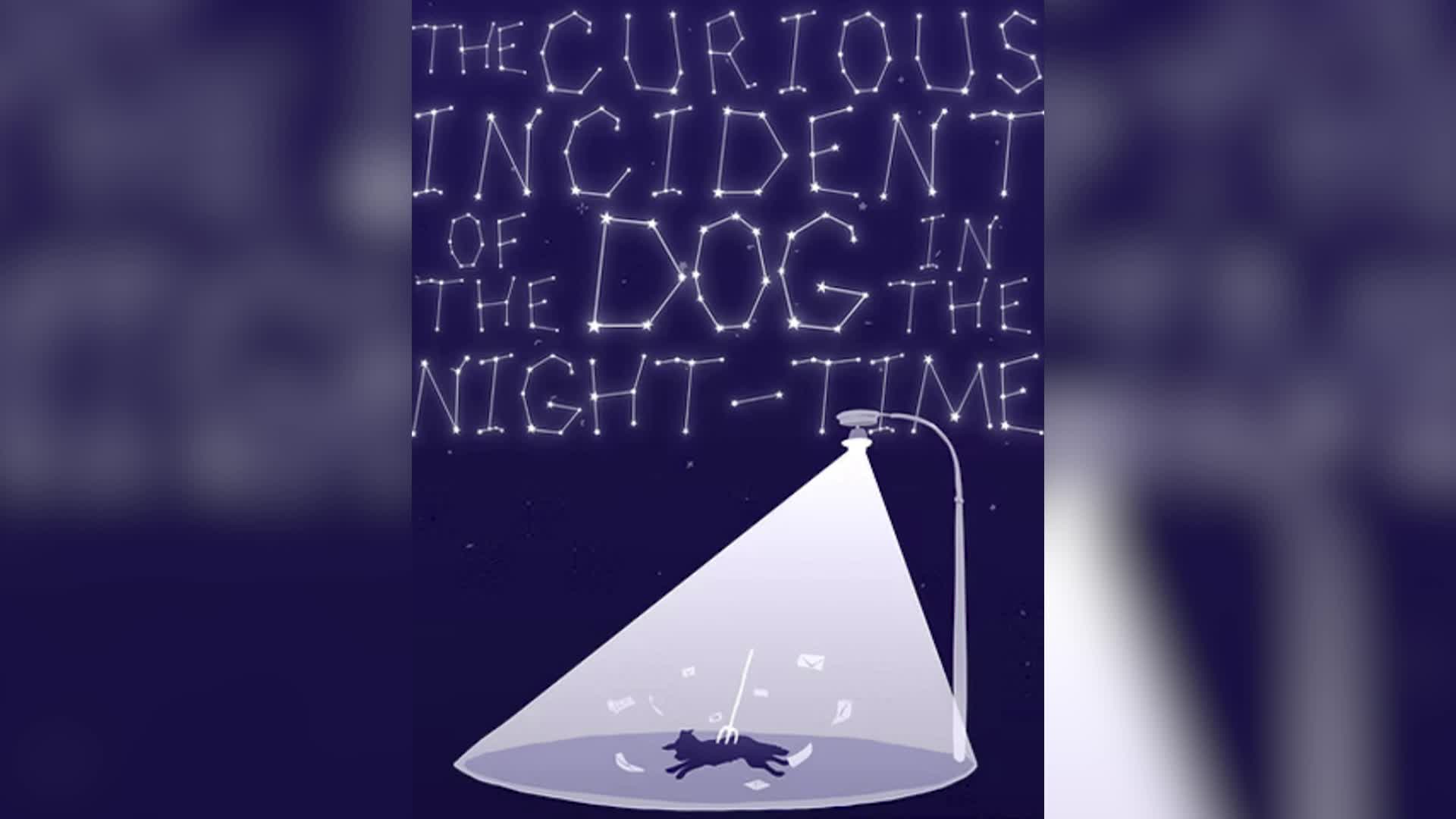 WHS Winter Play - Curious Incident of the Dog in the Night-Time - Advanced Journalism - February 2026